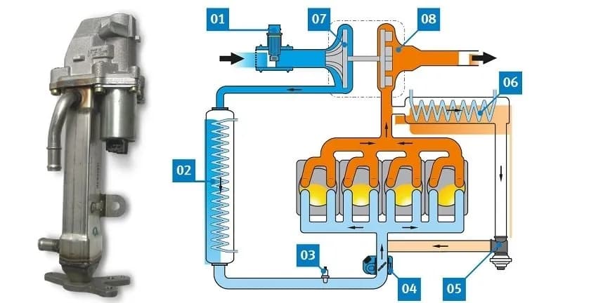 Uszkodzona chłodnica EGR: objawy, diagnoza i koszty naprawy